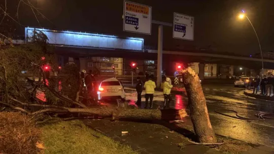 Kontrolden çıkan otomobil ağacı devirerek takla attı: 2 yaralı