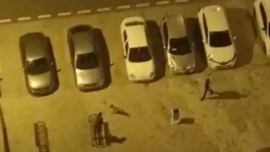 Köpeği çocukların üstüne saldı, korkan çocuk otomobilin üstüne çıktı