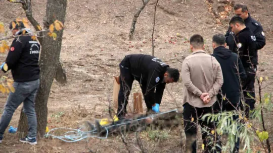 Boş arazide ağaca asılı ceset bulundu