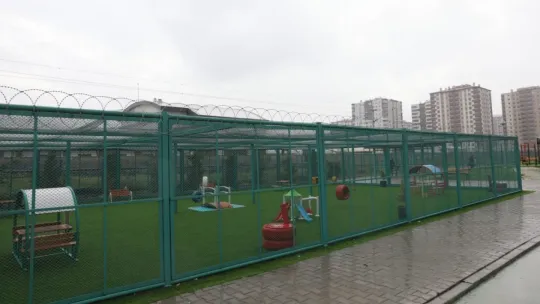 Kedi Kasabası Açılıyor