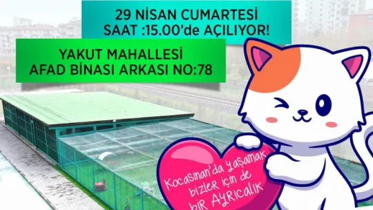 Kedi Kasabası Açılıyor