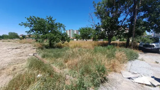 Kuru ekmekle yaşam mücadelesi