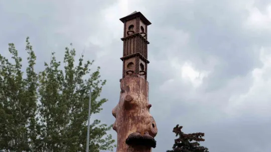 Kuruyan ağaçlar sanat eserine dönüştü
