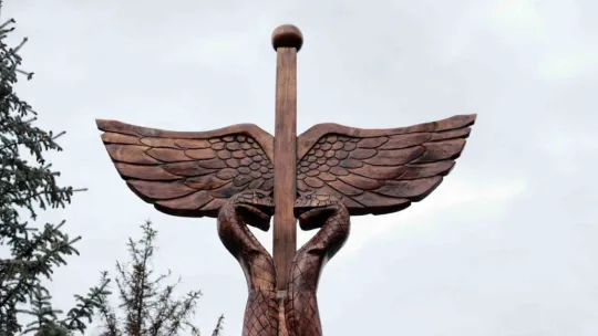 Kuruyan ağaçlar sanat eserine dönüştü