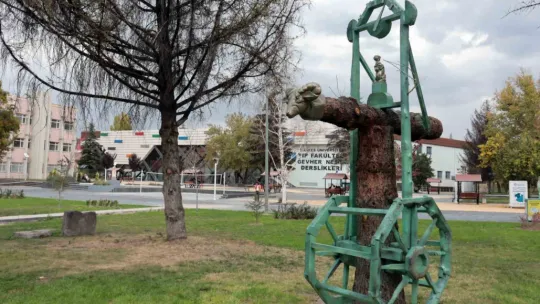 Kuruyan ağaçlar sanat eserine dönüştü