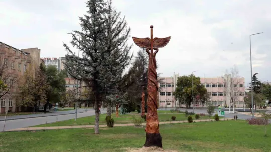 Kuruyan ağaçlar sanat eserine dönüştü