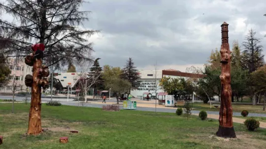 Kuruyan ağaçlar sanat eserine dönüştü