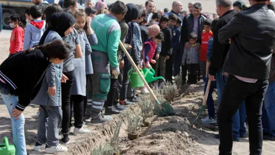 Lavanta Bahçesi'ne 20 bin fidan