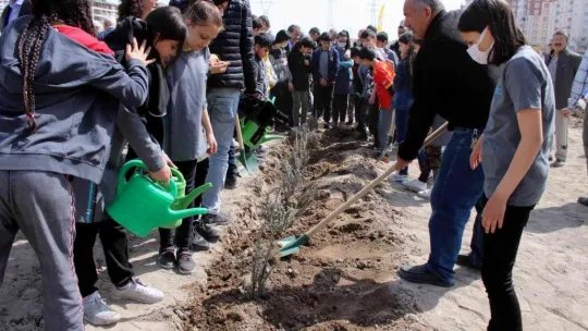 Lavanta Bahçesi'ne 20 bin fidan