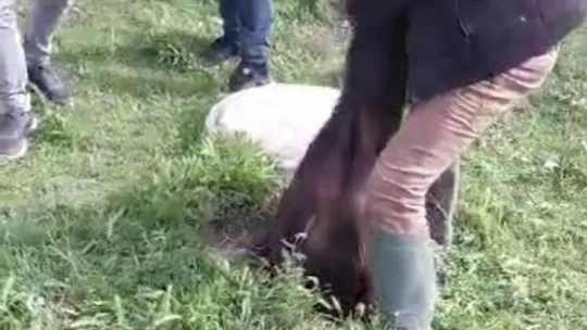 Mantar toplamaya giden vatandaşlar gördükleri manzara karşısında şok oldu