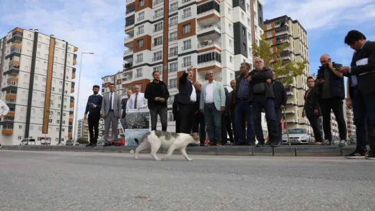 Meclis Üyeleri Kentsel Dönüşüm Çalışmalarını İnceledi