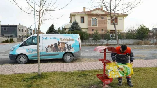 Sokak hayvanlarına sağlık bakımı ve mama desteği