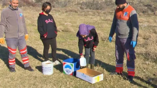 Melikgazi Belediyesi ve Öğrenciler Sokak Hayvanlarına Mama Dağıttı