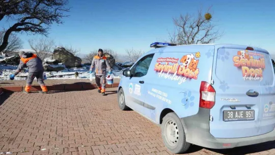 Melikgazi'de sahipsiz ve yaralı hayvanlar 'Sevimli Dost Ambulansı'na emanet