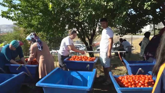 Melikgazi'de salça kaynatma günlerine yoğun ilgi