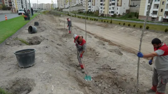 Melikgazi geleceğe nefes için, birçok mahallede fidan dikiyor