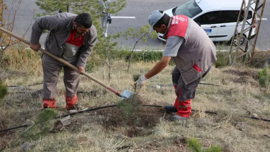 Melikgazi geleceğe nefes için, birçok mahallede fidan dikiyor