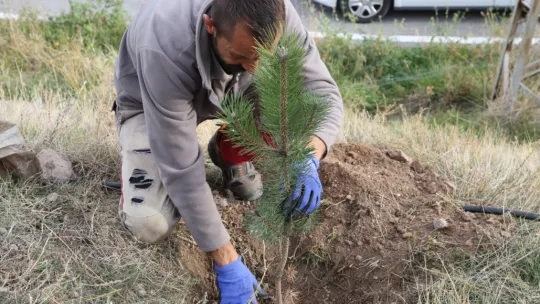 Melikgazi geleceğe nefes için, birçok mahallede fidan dikiyor