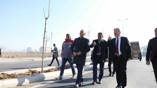 Melikgazi ilçeyi devasa ağaçlarla yeşillendirmeye devam ediyor