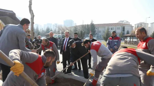 Melikgazi ilçeyi devasa ağaçlarla yeşillendirmeye devam ediyor