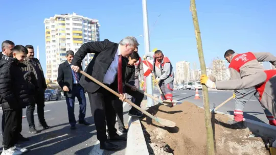 Melikgazi ilçeyi devasa ağaçlarla yeşillendirmeye devam ediyor