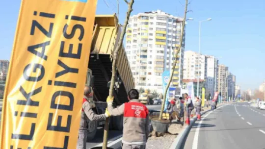 Melikgazi ilçeyi devasa ağaçlarla yeşillendirmeye devam ediyor