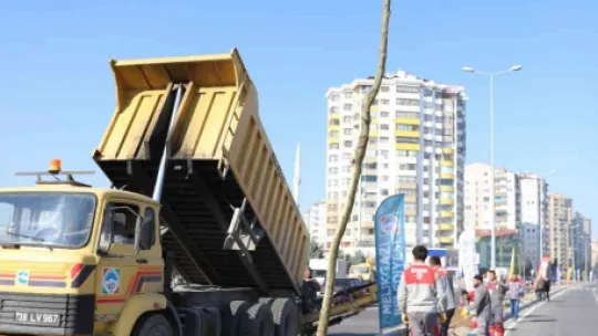Melikgazi ilçeyi devasa ağaçlarla yeşillendirmeye devam ediyor