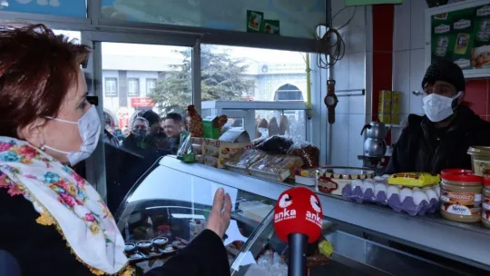 Meral Akşener ilçelerde esnafları ziyaret etti