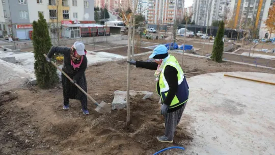 Mevlana Meydanı Ağaçlandırılıyor