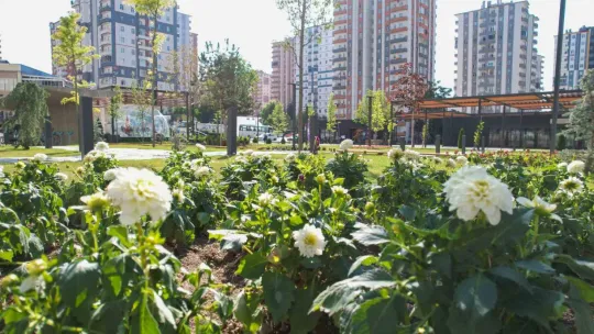 Mevlana Meydanı 14 ayrı tür çiçekle rengarenk