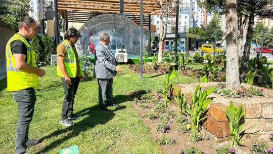 Mevlana Meydanı 14 ayrı tür çiçekle rengarenk