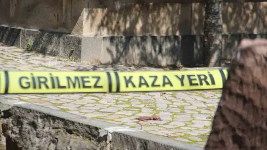 Mezarlıkta 4 aylık cenin bulundu