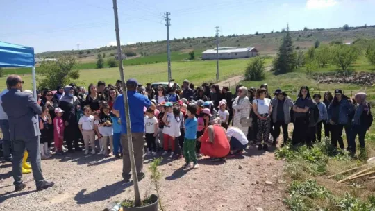 Öğrenciler, 19 Mayıs'a özel ağaç dikti