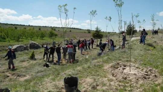 Öğrenciler, 19 Mayıs'a özel ağaç dikti