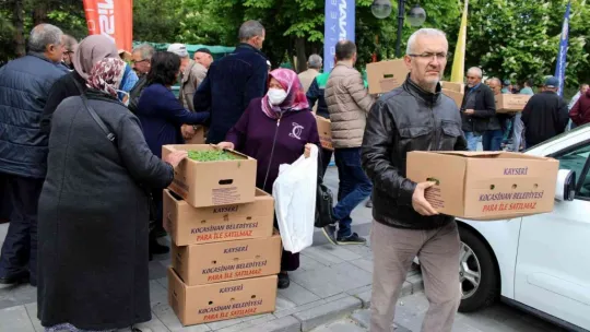 Organik domates fidesi almak için metrelerce kuyruk oluşturdular