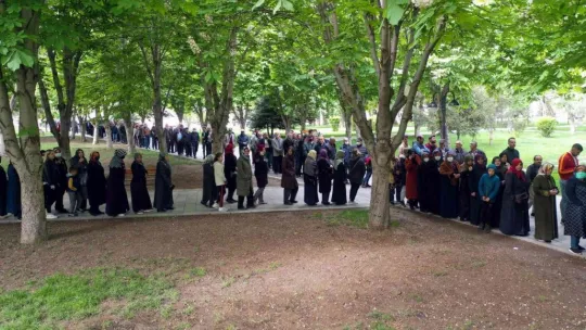 Organik domates fidesi almak için metrelerce kuyruk oluşturdular