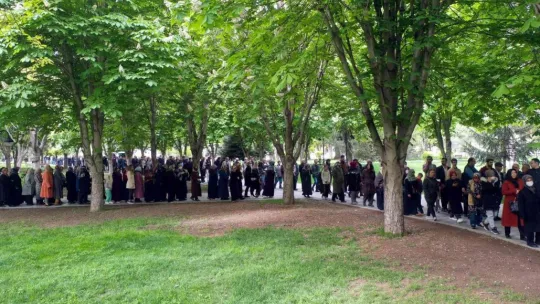 Organik domates fidesi almak için metrelerce kuyruk oluşturdular