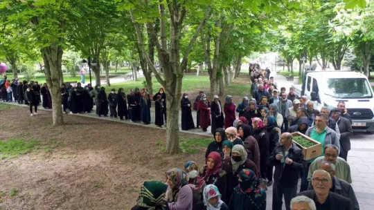 Organik domates fidesi almak için metrelerce kuyruk oluşturdular