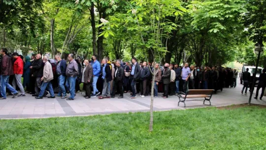 Organik domates fidesi almak için metrelerce kuyruk oluşturdular