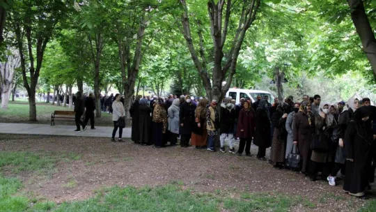 Organik domates fidesi almak için metrelerce kuyruk oluşturdular