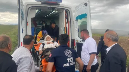 Ot toplamaya çıktıktan sonra kaybolan Menşure teyzeden 2 gün sonra sevindiren haber
