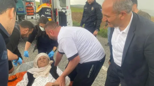 Ot toplamaya çıktıktan sonra kaybolan Menşure teyzeden 2 gün sonra sevindiren haber