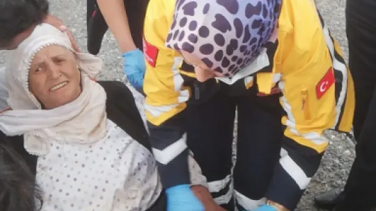 Ot toplamaya çıktıktan sonra kaybolan Menşure teyzeden 2 gün sonra sevindiren haber