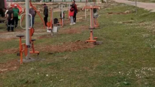 Pınarbaşı'nda başıboş köpekler toplanacak