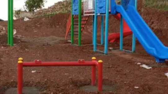 Pınarbaşı'nda başıboş köpekler toplanacak