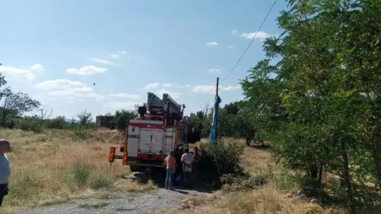 Pisti pas geçti, elektrik direğinde asılı kaldı