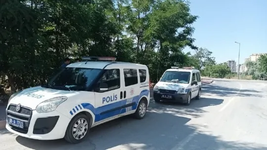 Pisti pas geçti, elektrik direğinde asılı kaldı