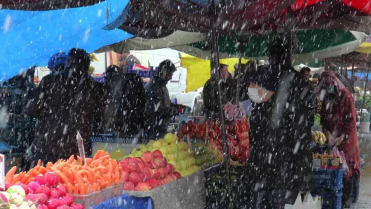 Rusya domatesi ihraç edemedi, fiyatı düştü