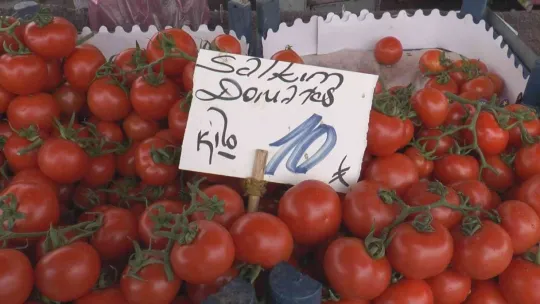 Rusya domatesi ihraç edemedi, fiyatı düştü