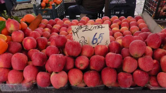 Rusya domatesi ihraç edemedi, fiyatı düştü